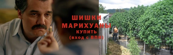 ГАЛЛЮЦИНОГЕННЫЕ ГРИБЫ Верхнеуральск
