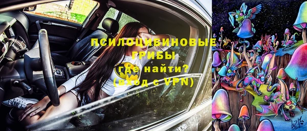 ГАЛЛЮЦИНОГЕННЫЕ ГРИБЫ Верхнеуральск