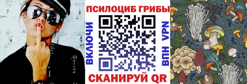 Галлюциногенные грибы прущие грибы  Купить где  Аткарск 
